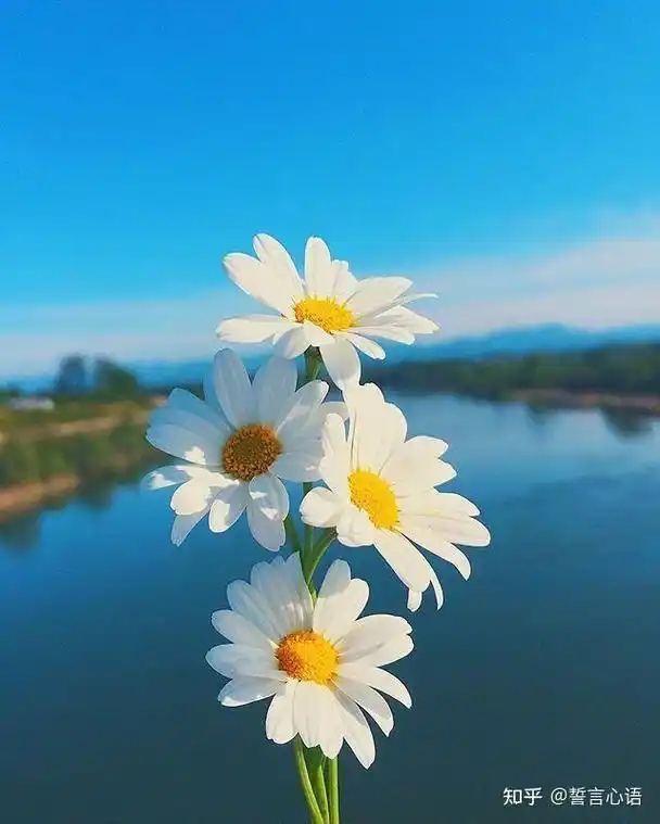 1,吴亦凡案二审择期宣判,曾不服一审提起上诉!