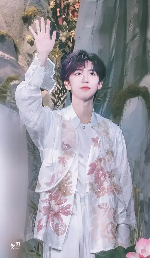 贺峻霖 梦蝶破笼##贺峻霖 全能美颜主舞