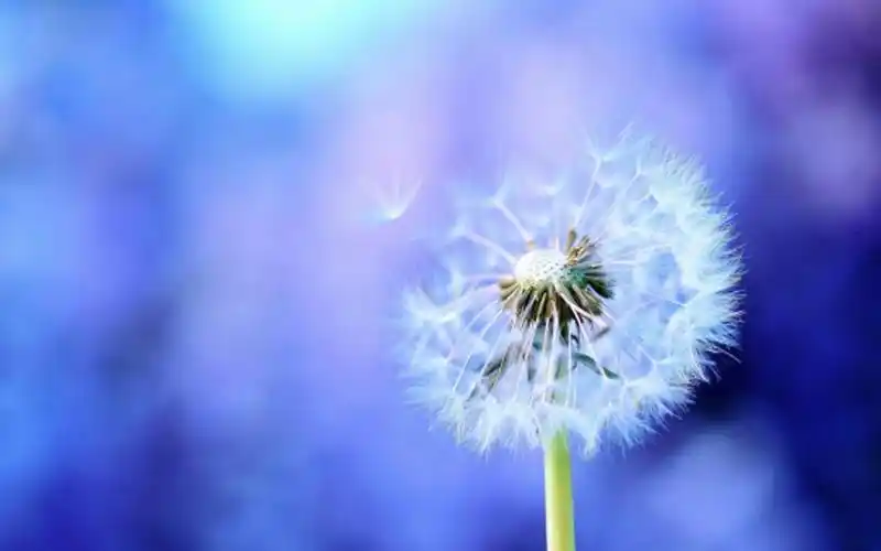 电脑桌面换壁纸的图片教程