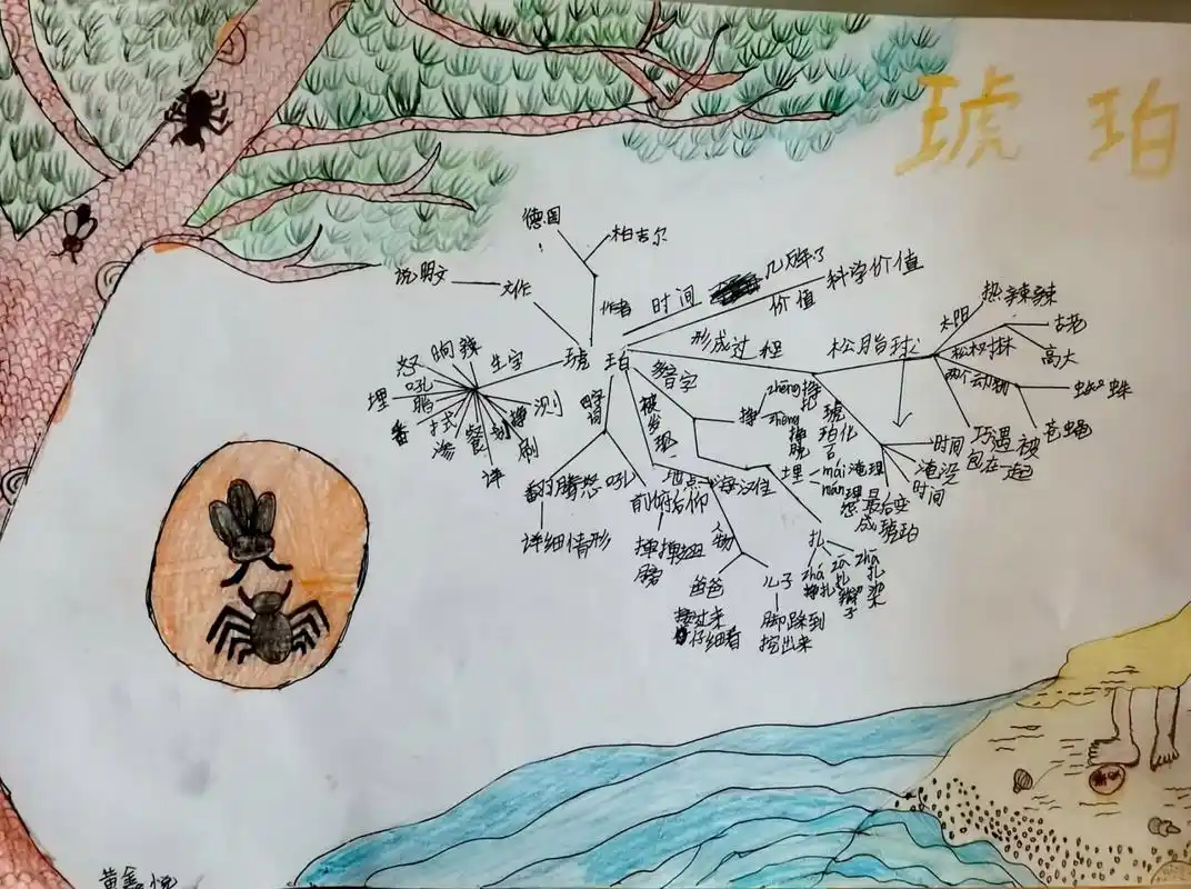 94四下语文第566课《琥珀》思维导图 94欢迎收看94分享一波小