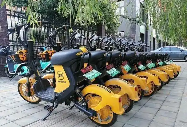 搭乘校园共享电动车摔伤昏迷,一月后身亡|小木|电车|出行_网易订阅