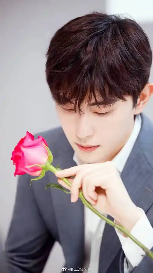 邓伦粉色玫瑰氛围大片