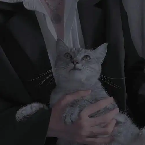 男生头像高级感十足好看帅气的微信男头