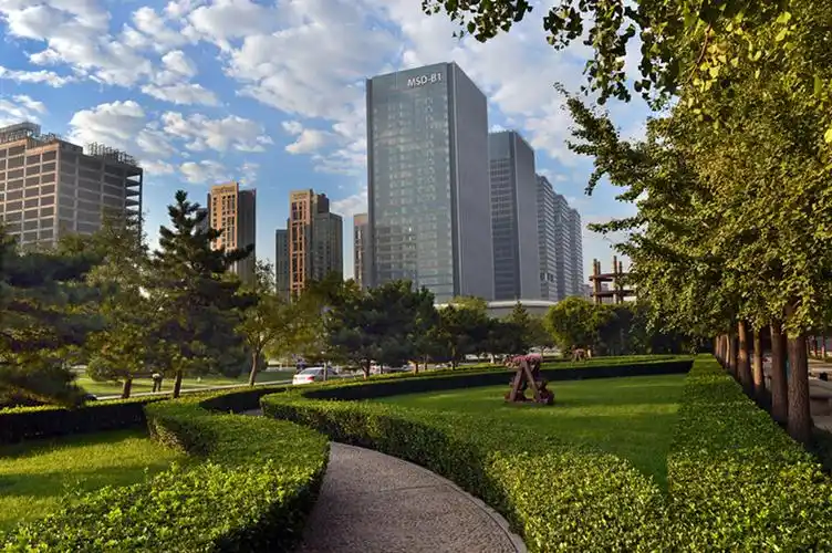 天津滨海新区泰达msd绿地