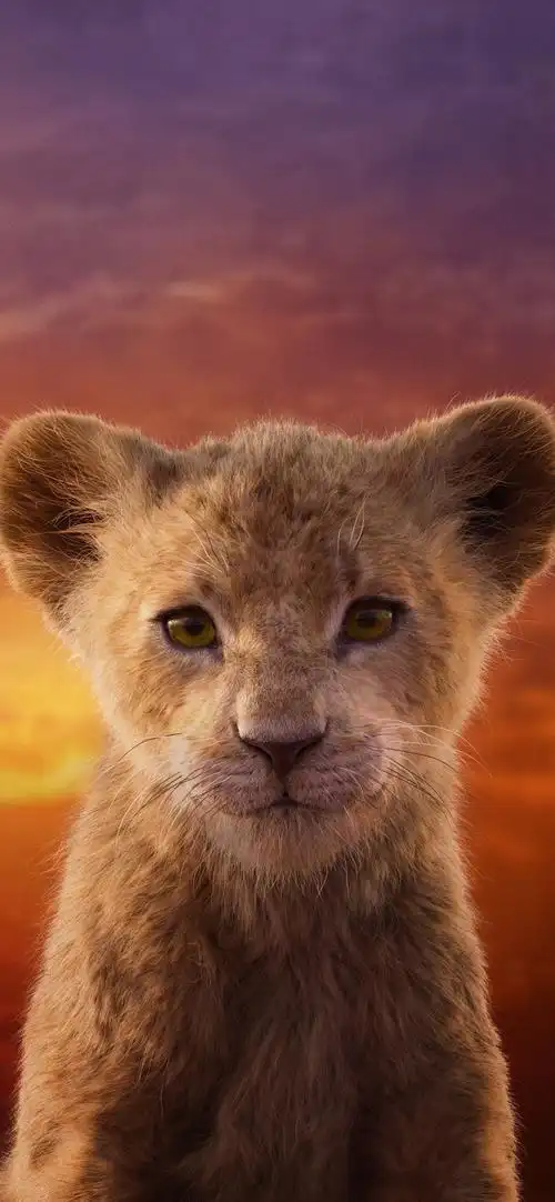 狮子王海报壁纸之小狮子,高清图片,手机壁纸