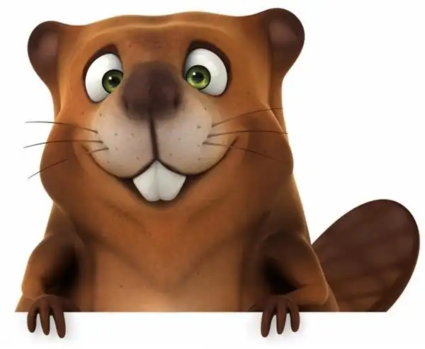 可爱的动物卡通画海狸图片大全