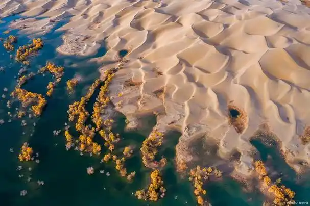 阿拉善盟的腾格里达来·月亮湖景区是中国最迷人的沙漠探险旅游地之一