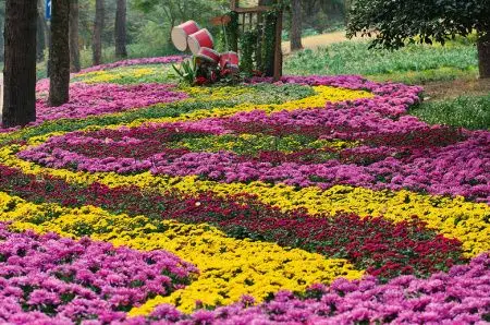 杭州植物园门票