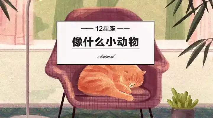 12星座都像什么小动物
