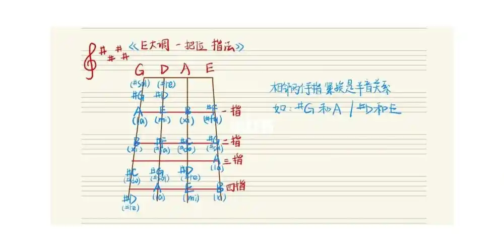 e大调和降d大调一把位小提琴指位