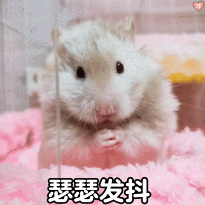 暧昧动图表情包