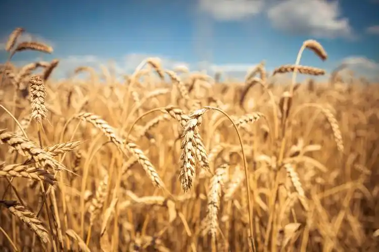 户外 图片_户外 图片大全_全景图片