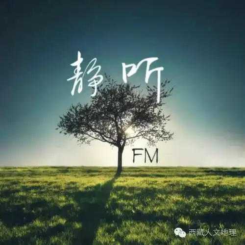 忙碌的生活是否想让你在一个安静的地方,闭上眼睛让自己安静下来,体会