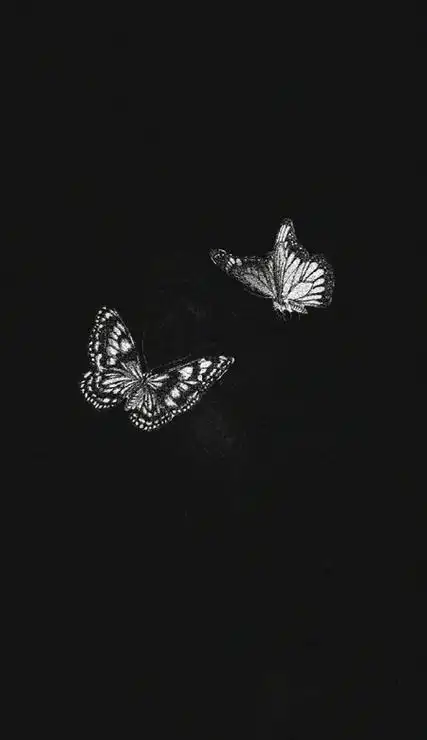 2023ins风高级不失质感黑色壁纸合集这组壁纸真的好绝