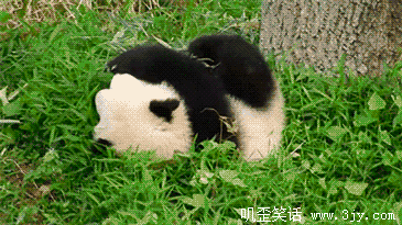 我会滚滚哟 - 搞笑动态图 - 查字典