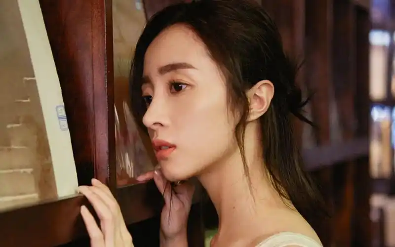 胡冰卿文艺复古时尚写真图片桌面壁纸