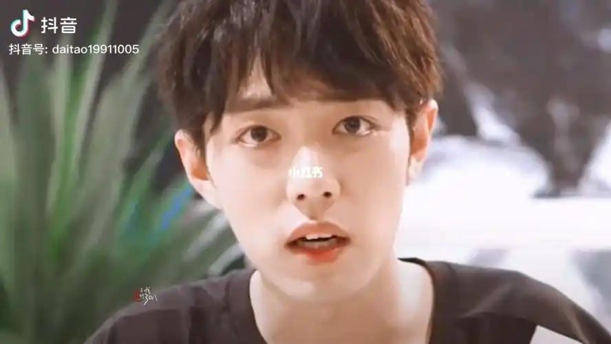 治愈向!笑容杀_肖战_治愈_抖音_娱乐_明星娱乐资讯