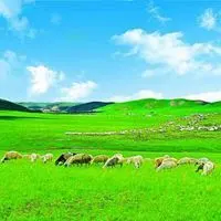 微信头像草原清新青青大草原唯美头像图片点击鼠标右键下载