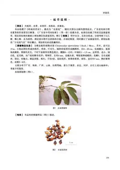 水翁花 - 广东省中药材标准 - 蒲标网