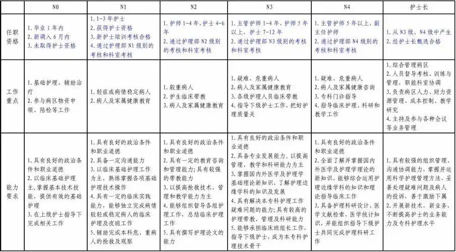 n0-n4护士分级
