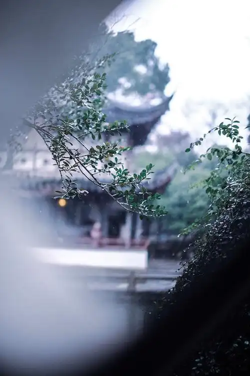 烟雨江南61留园