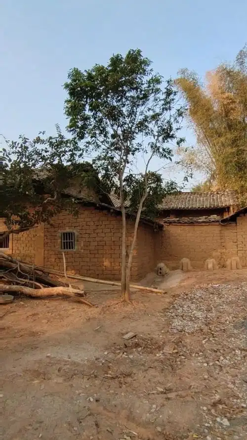 以前的老房子92有点童年记忆