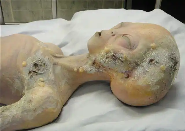 美国51区的神秘事件汇总,51区外星人图片曝光