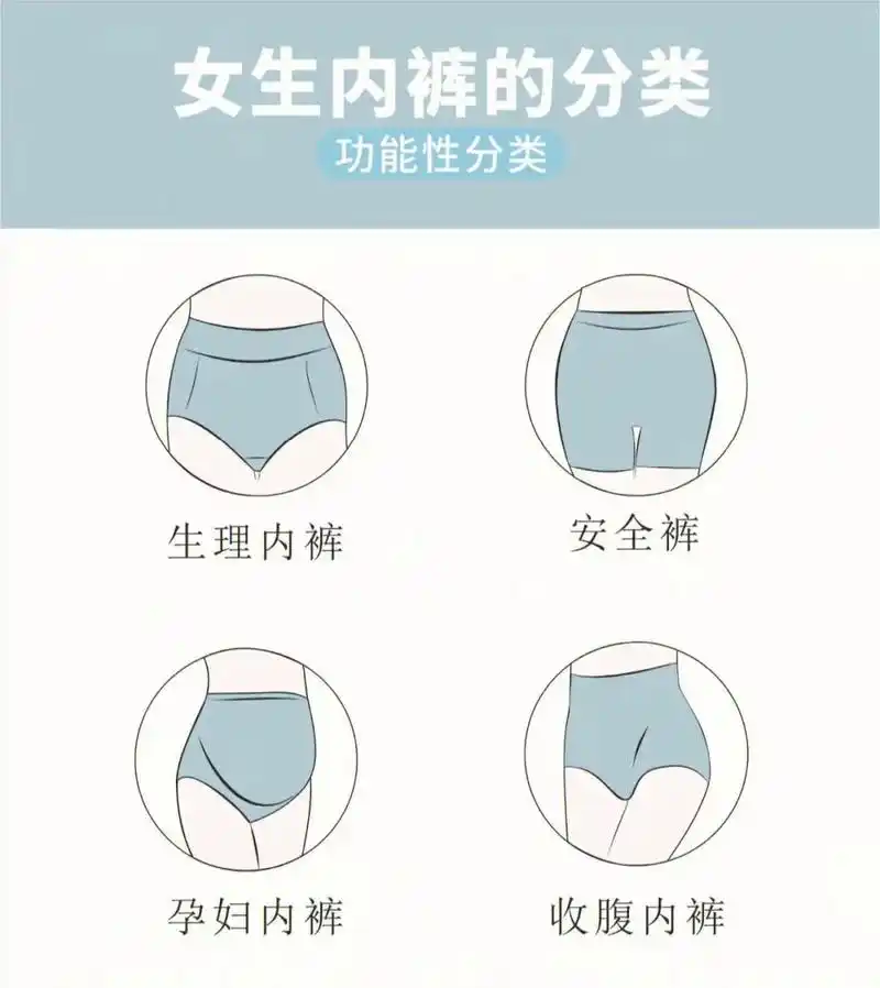 内裤种类.