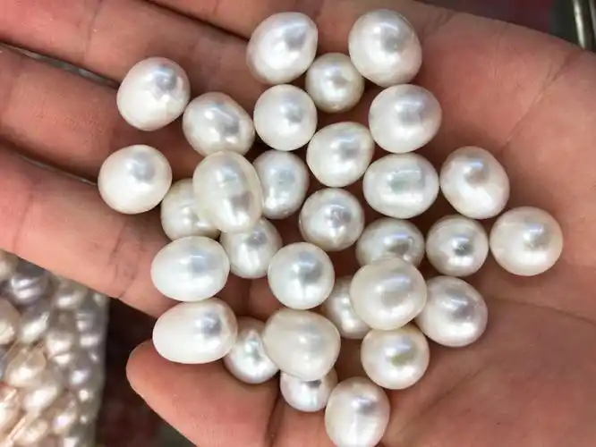 论斤真珍珠散珠称斤diy手链项链有眼带孔发财树磨粉供佛送闺蜜朋友