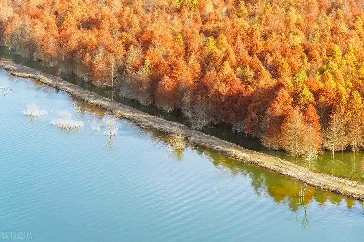 阴囊潮湿源于脾虚,中医补中有泄,温中散寒是关键
