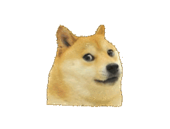 doge动图,柴犬动图,神烦狗动图,gif动图