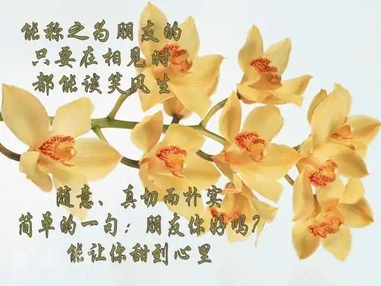 朋友只有真诚,才能长久.