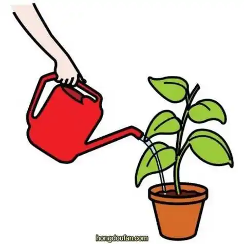 小学生浇花简笔画彩色