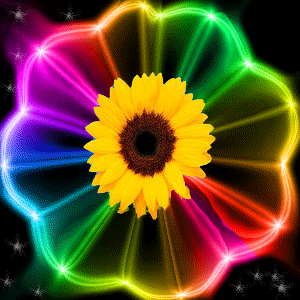 300_300gif 动态图 动图