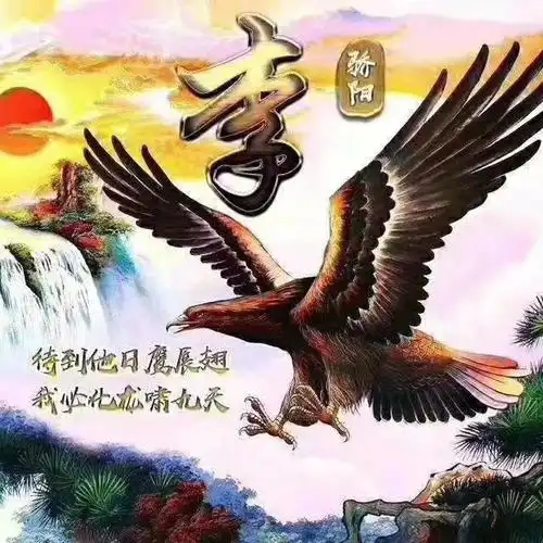 雄鹰展翅微信头像图片