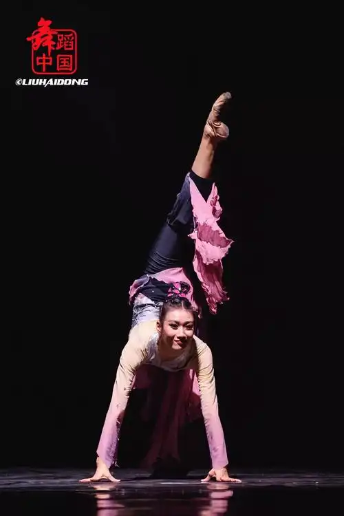 一脉相承中国传统文化传承系列中国古典舞晚会精彩剧照摄影舞蹈中国