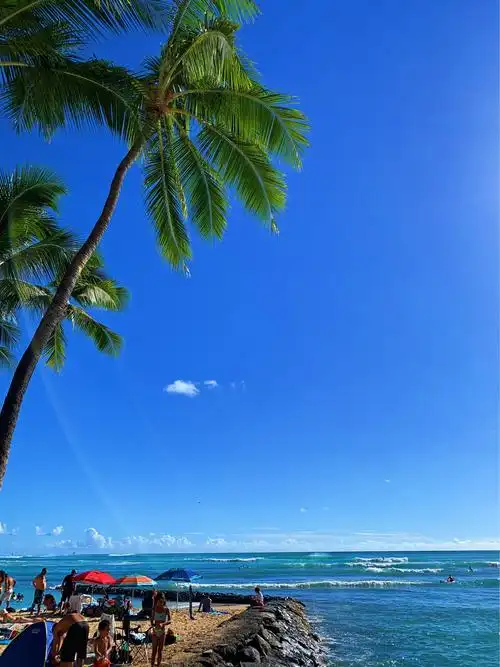 其它 美丽的夏威夷:感受不一样的风景 写美篇  威基基海滩