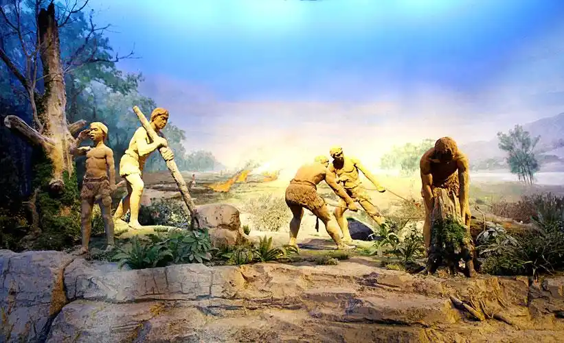 博物馆解说词原始社会农耕