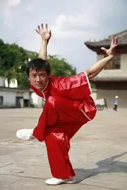 鹰拳的鹰拳拳谱