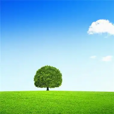 微信最吉利的好看头像绿色草原 好看又吉利的风景微信头像-微信头像