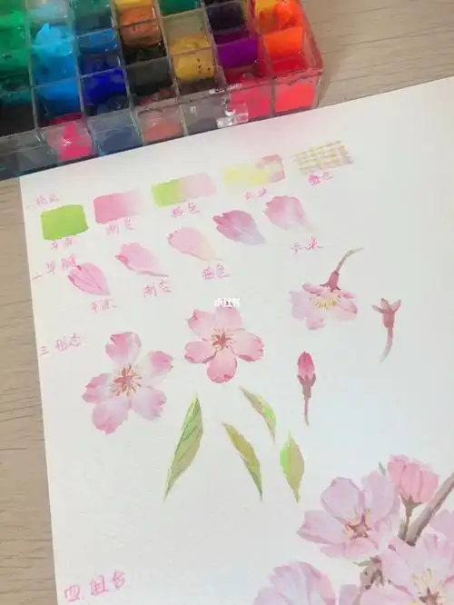 水彩樱花教程水彩花卉教程1