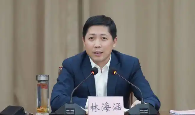 林海涵:始终树立项目为王意识 加快推进重点项目落地见效|龙港_网易