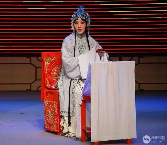 京剧刘兰芝剧照3