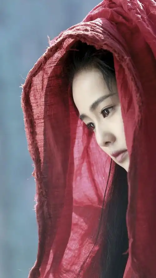 凤囚凰霍璇白鹿