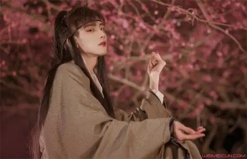 妖扬个人资料 妖扬王敬轩是弯的吗他神态很女性化