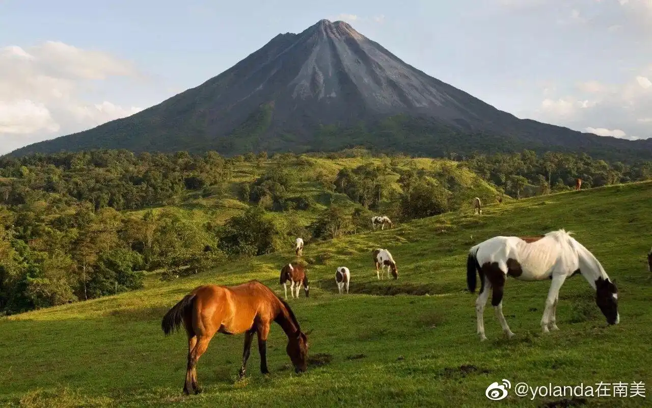 鲜得冒气儿的小众旅行哥斯达黎加一张美签说走就走