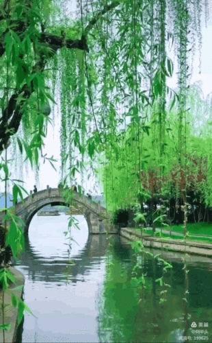 639_1032竖版 竖屏gif 动态图 动图