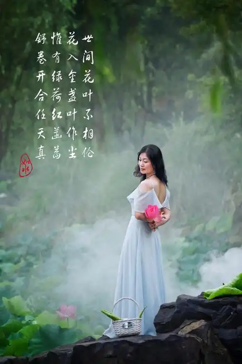 种花,种草,种诗意,在文字中品生活,在花香中让心归于平静,荣辱不惊