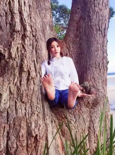 女星爱爬树,柳岩调皮学猴子,赵丽颖剪刀手,最后一位迷糊爱闯祸