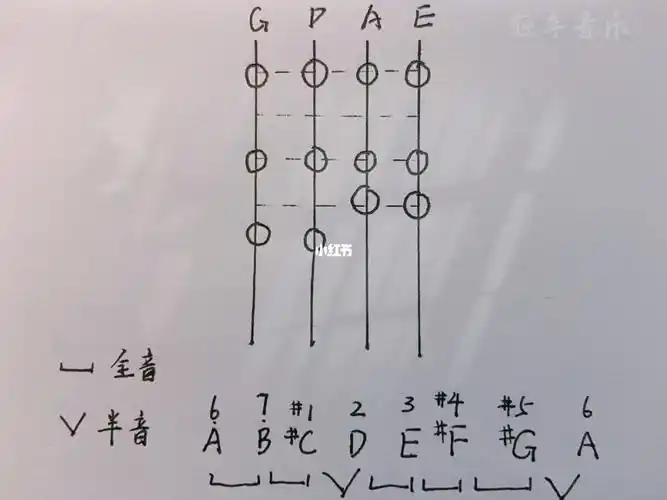 小提琴初学手型|一把位a大调指位图